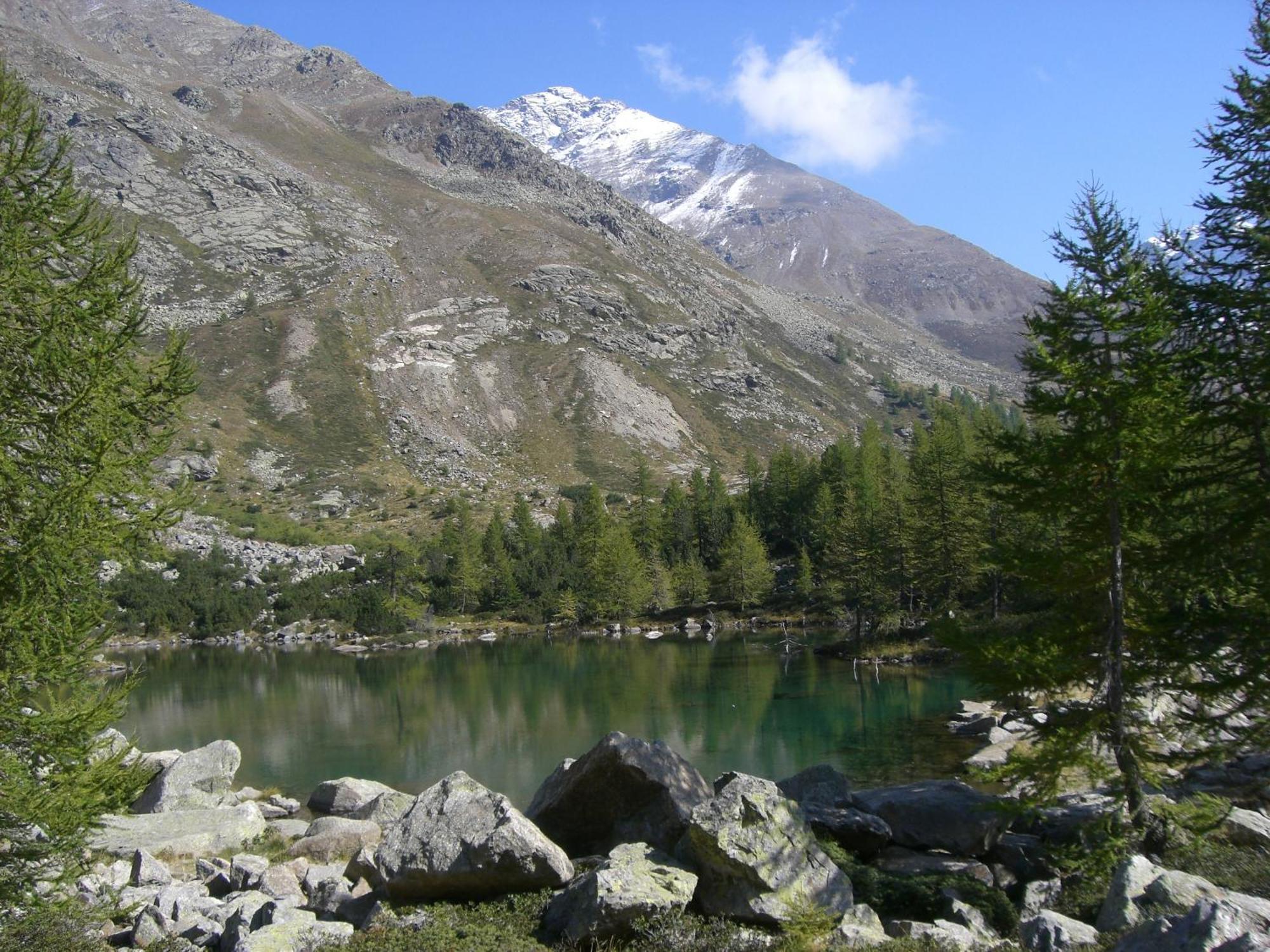 Casa Vacanze Sablonera Bormio Buitenkant foto